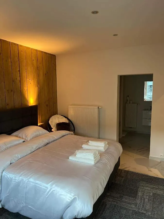 Apartament Prachtige Kamer In Centrum Brugge Met Badkamer ! Belgia
